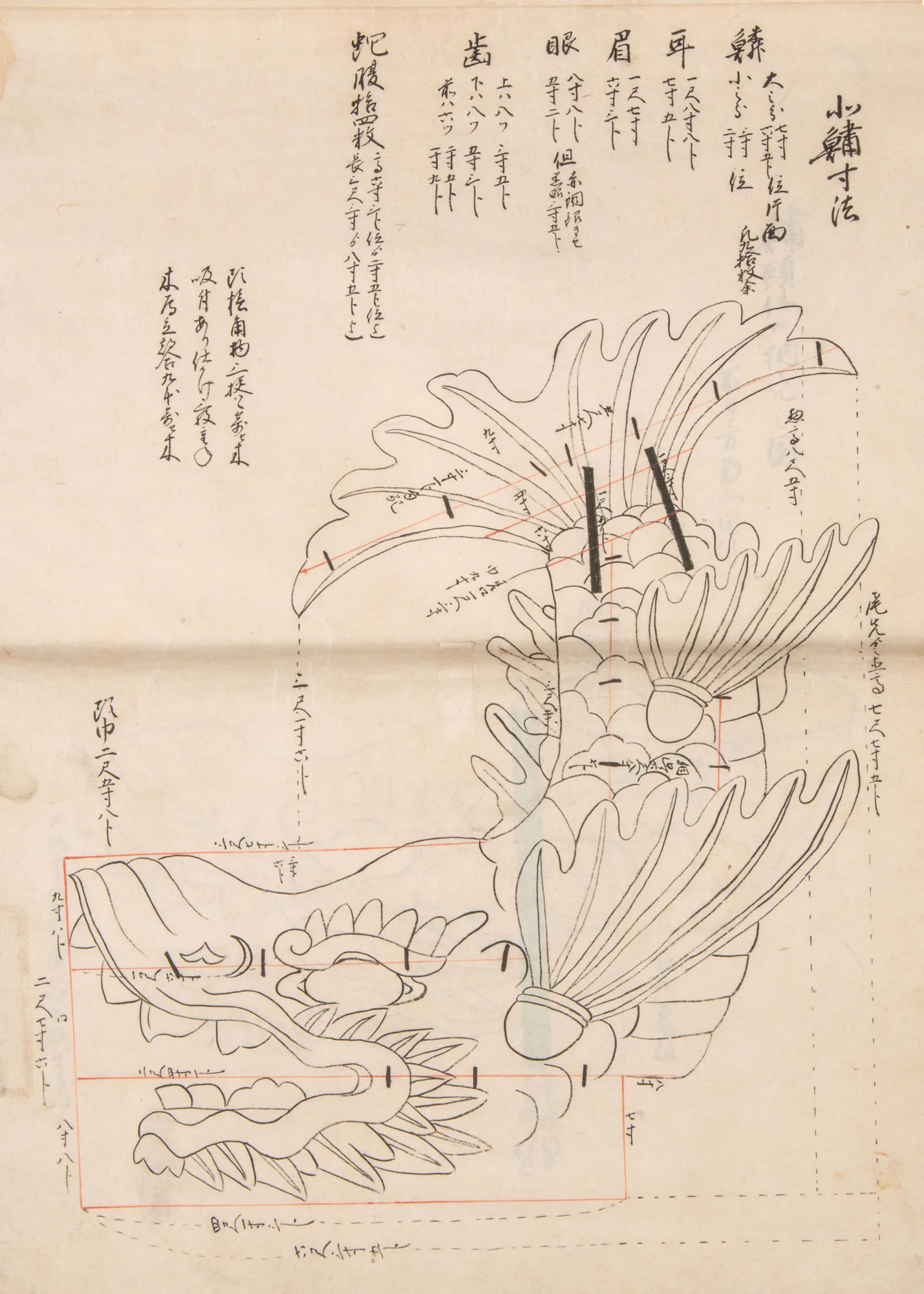 北鯱の鰭・鱗・頭部の寸法を、朱線と注記で書き込んだ図