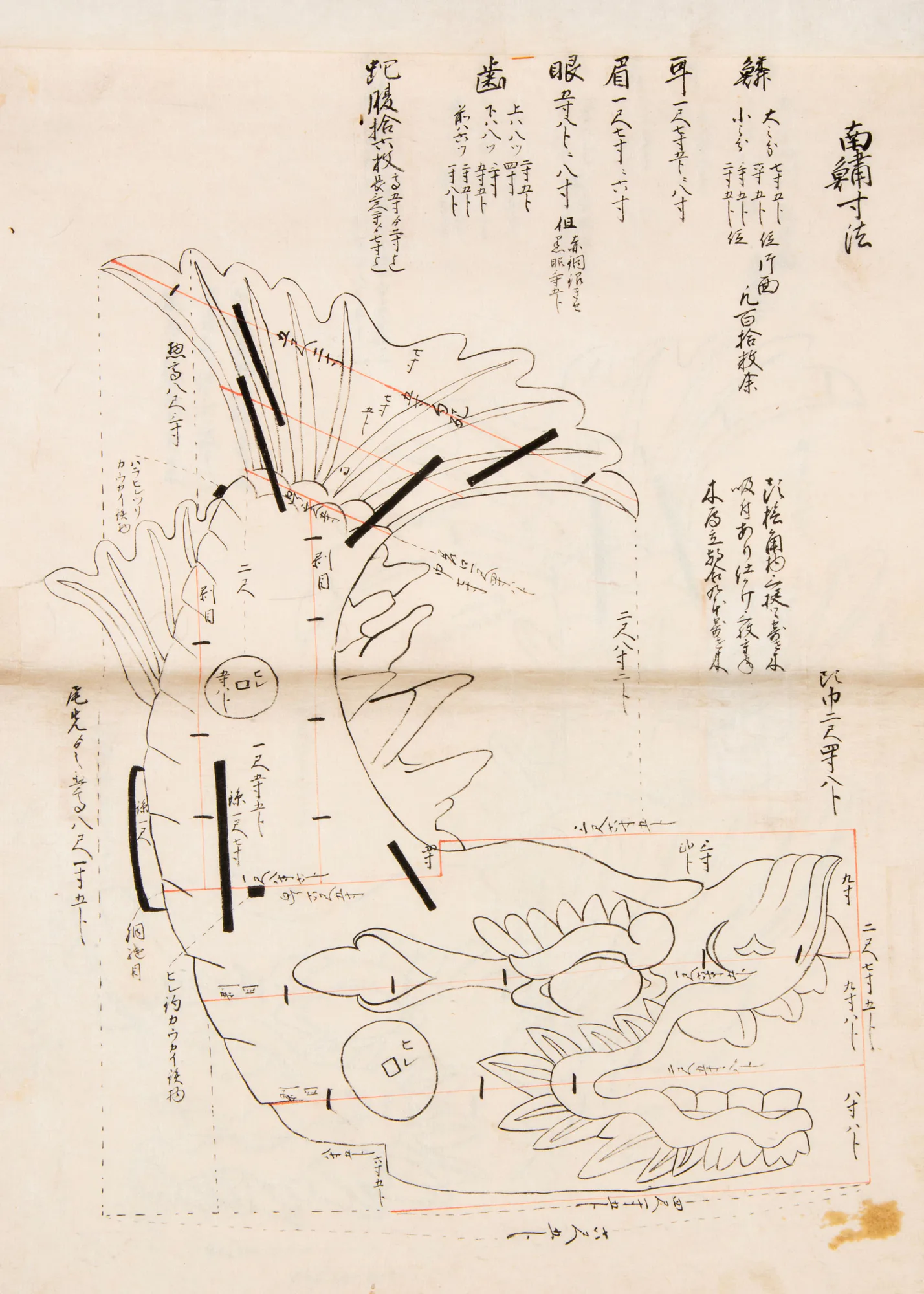 南鯱の鰭・鱗・頭部の寸法を、朱線と注記で書き込んだ図
