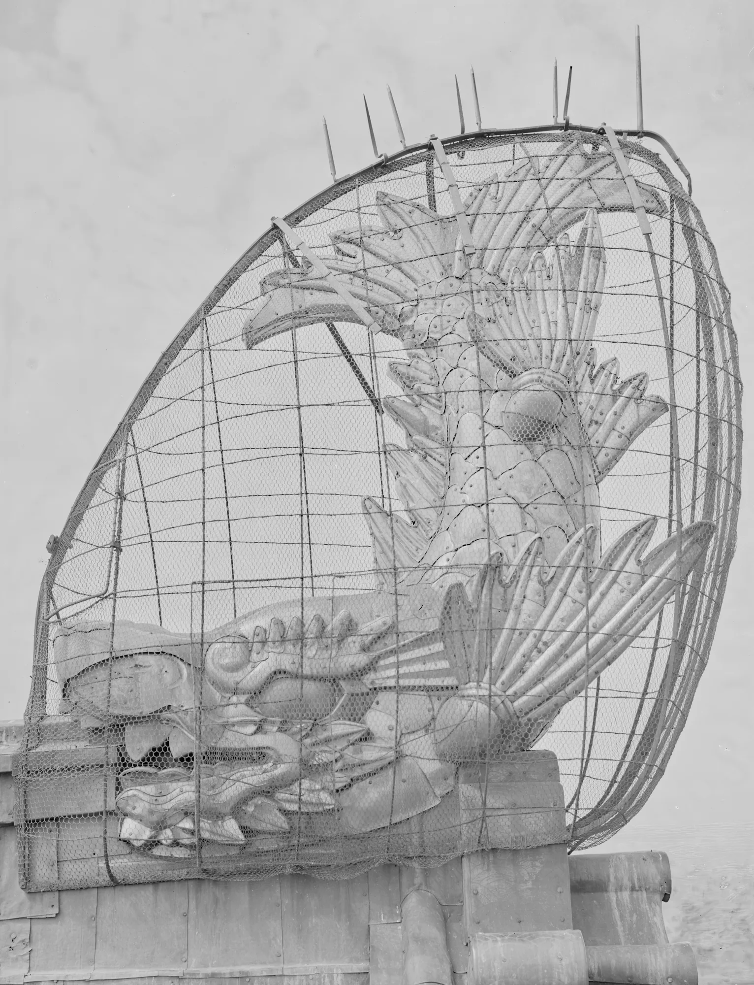 鳥除けの網と針に覆われた、戦災で焼失する前の北方金鯱の白黒写真